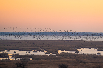 Naturerlebnistage im Nationalpark Neusiedler See - Seewinkel