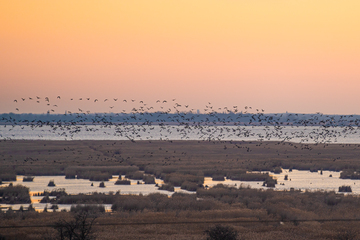 Naturerlebnistage im Nationalpark Neusiedler See - Seewinkel