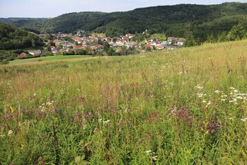 Naturkundliche Exkursion zu den Trockenwiesen in Goberling