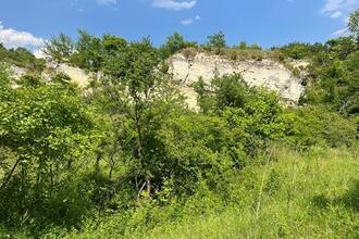 Naturkundliche Exkursion zu den Trockenrasen in der Grube in Breitenbrunn am Neusiedler See