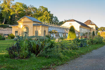 Schmuckes Gemüse im Schlosspark