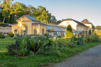 Schmuckes Gemüse im Schlosspark