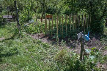 Gartenvielfalt mit wenig Geld