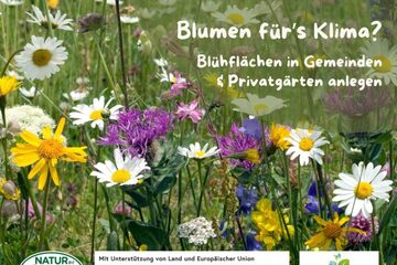 Blumen für’s Klima?