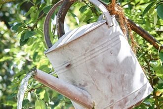 Regenwassernutzung im Hausgarten