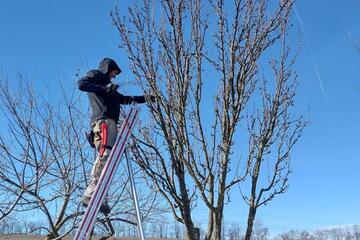 Obstbaumschnittkurs Zillingtal – Praxisteil (2/2)