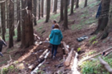 Erlebniswanderung Waldge(h)spräche