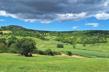 Die herbstliche Pflanzen- und Vogelwelt der Rohrbacher Teichwiesen