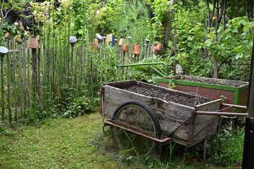 Vortrag - Saisonaler Genuss aus dem Nutzgarten