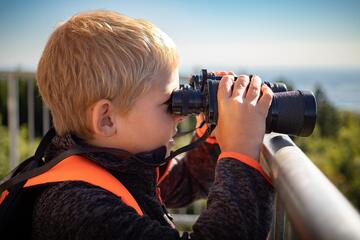Dem Osterhasen auf der Spur