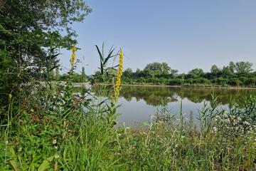 Zertifikatslehrgang Natur- und Landschaftsvermittlung