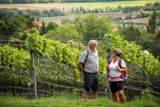 Führung durchs Strembachtal