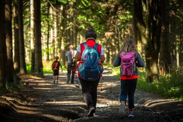 Naturpark Wanderung - Auf die Füße, fertig, los!