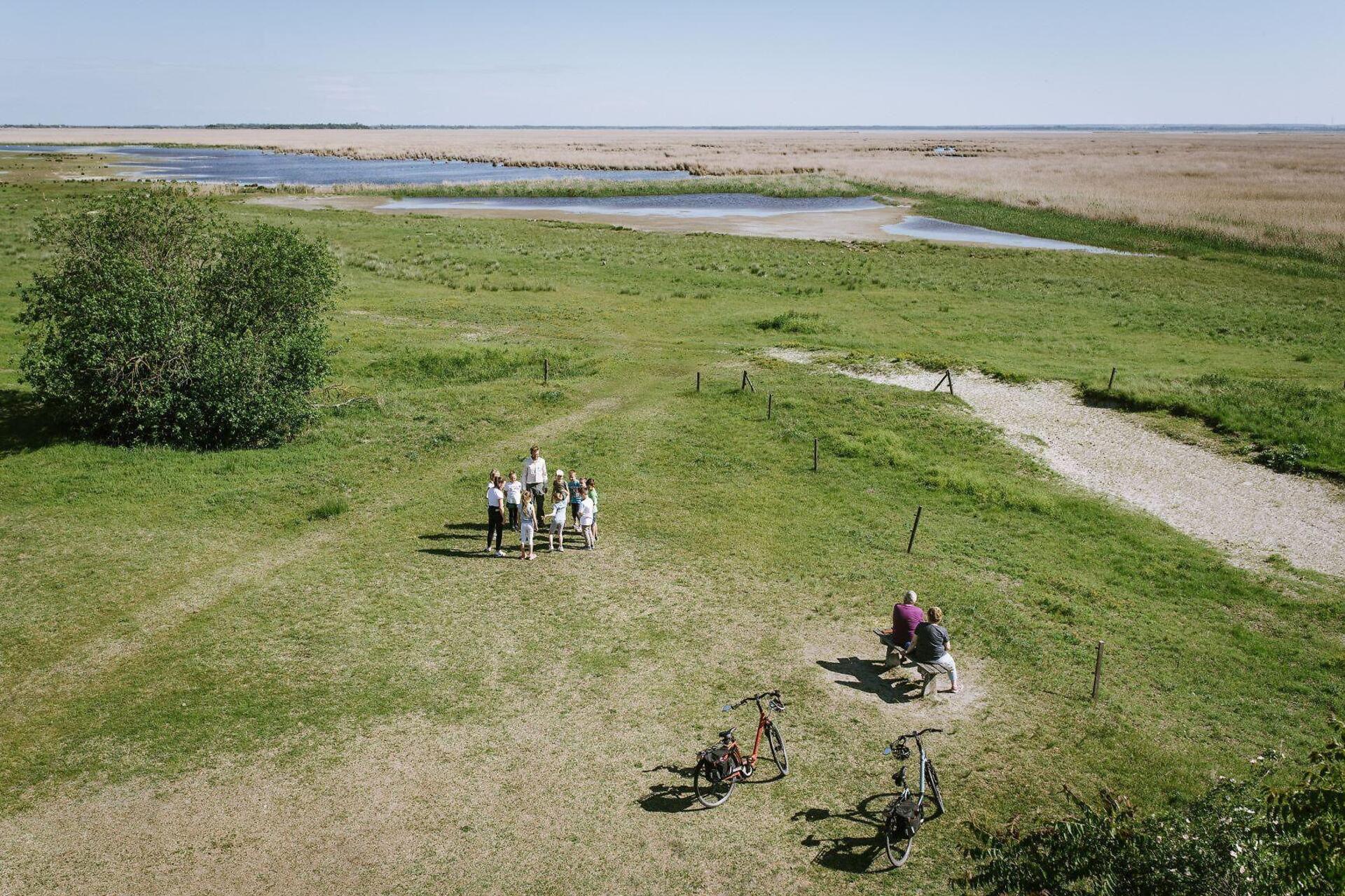 Sandeck ein Blick in die Naturzone