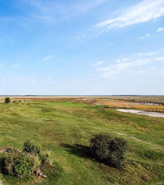 Steppe soweit das Auge reicht - Hutweideflächen im Seewinkel