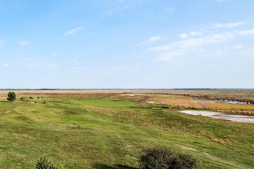 Steppe soweit das Auge reicht - Hutweideflächen im Seewinkel