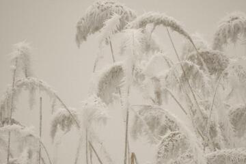 Winter im Nationalpark - Exkursion