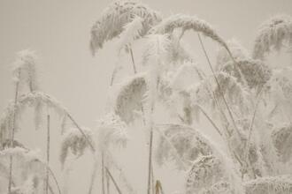 Winter im Nationalpark - Exkursion