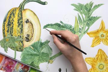 Botanische Illustration - Workshop