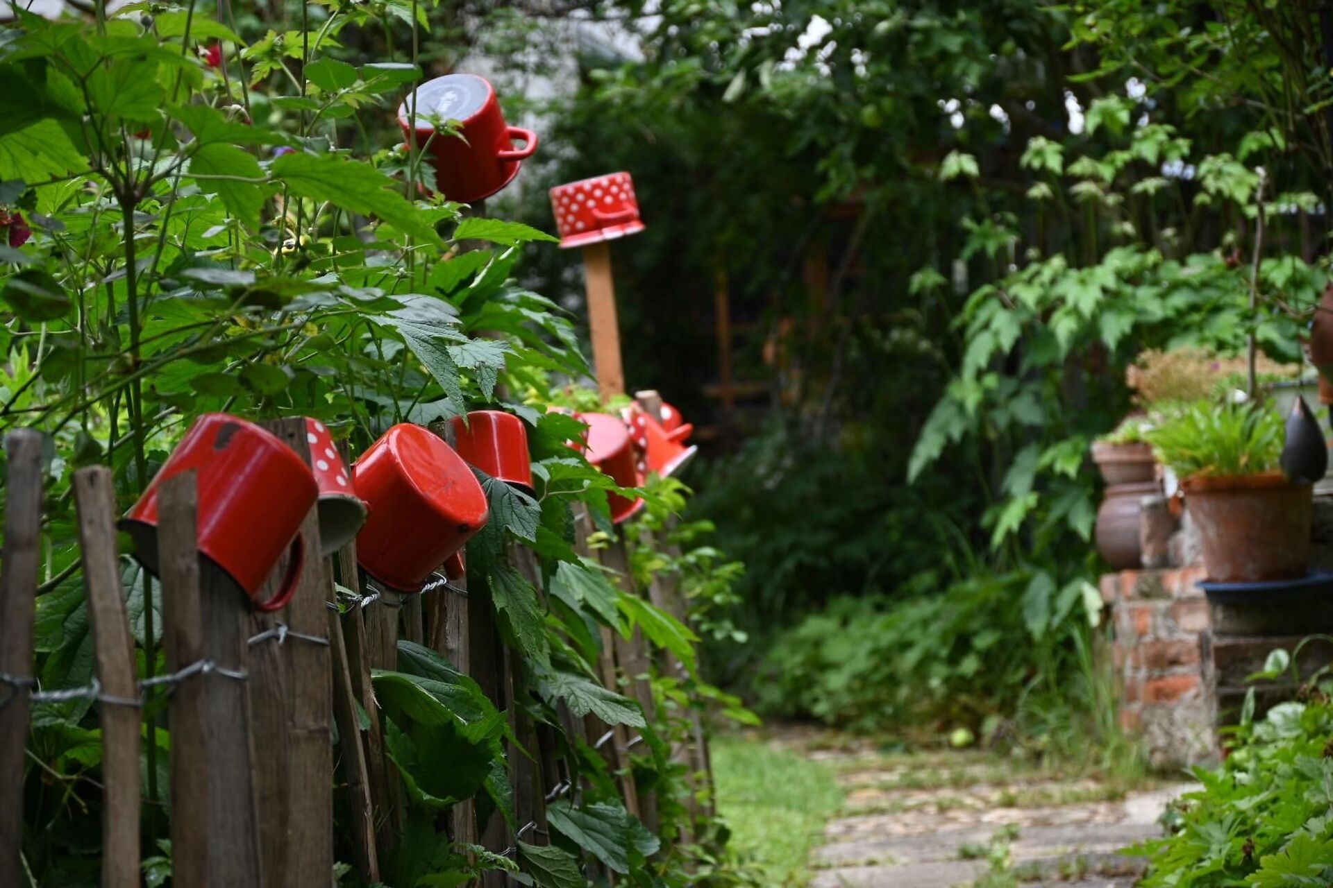 Naturnahe Gartengestaltung