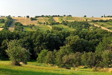 Streuobstwiesenworkshop