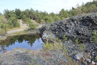 Exkursion durch Bernsteins raritätenreiche Tierwelt