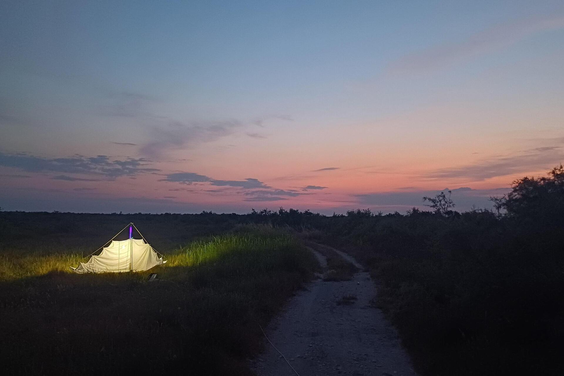 Verborgene Welt Nacht