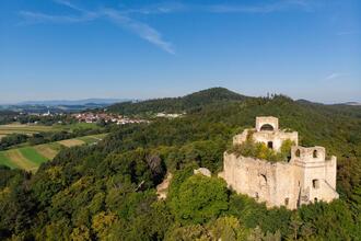 Führung: Nachhaltige Forstwirtschaft – Wälder im Klimawandel