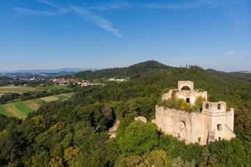Führung: Nachhaltige Forstwirtschaft – Wälder im Klimawandel