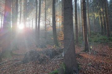 Regenerative Sichtweisen – ein tieferes Verständnis für die Natur und ihr Umfeld