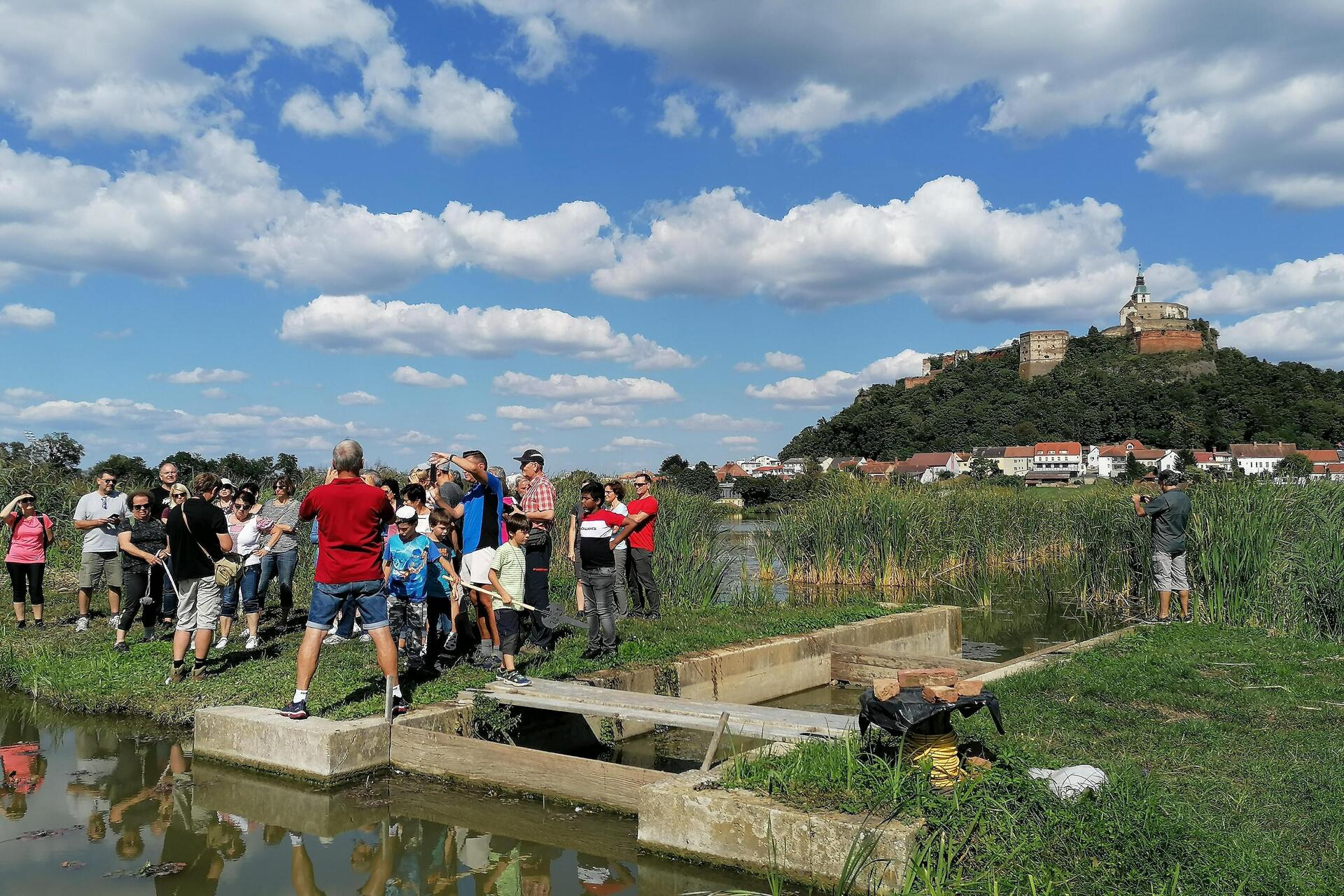 Güssinger Teiche mit Burgblick