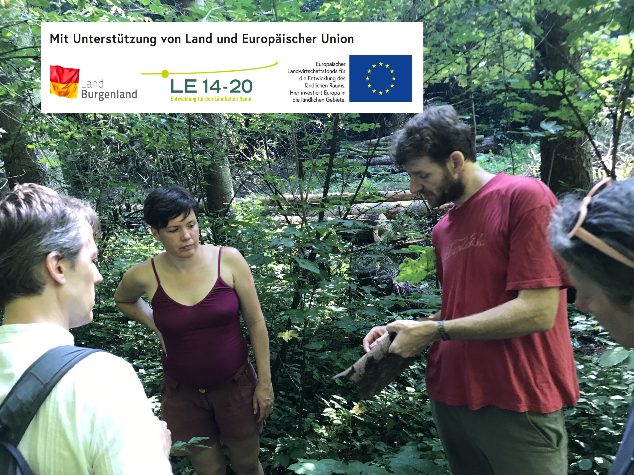 NATURKUNDLICHE WANDERUNG „WALD IM WANDEL
